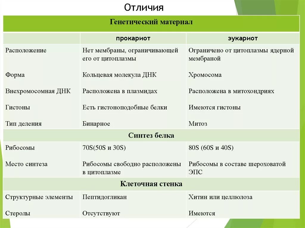 Сходства и различия прокариот. Клеточная стенка прокариот и эукариот таблица сравнение. Различия эукариот и прокариот клеток. Клеточная стенка у прокариот и эукариот таблица. Особенности строения прокариот и эукариот.