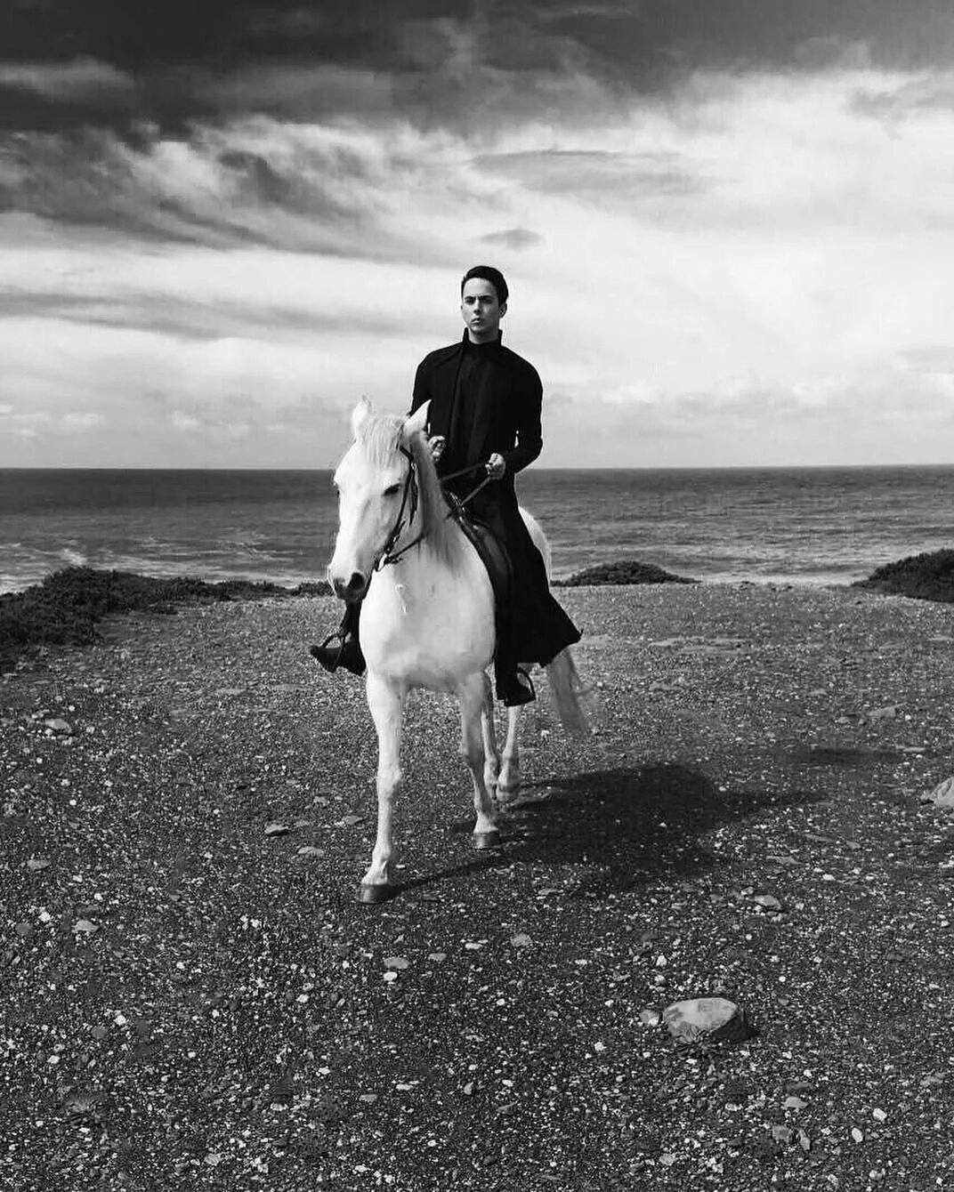 Принц на коне. На белом коне. Белый принц на белом коне. Мужчина на коне.