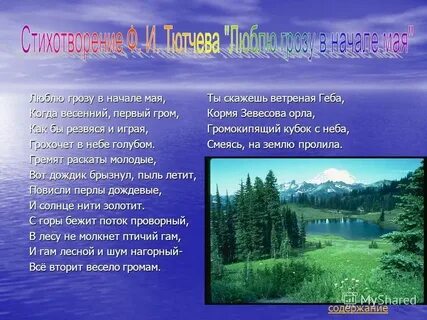 Шум и гам это