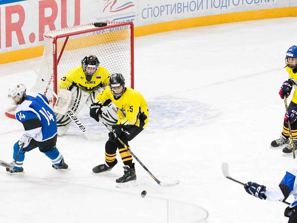 Золотая шайба пермский край. Хоккей балаково. Тейково хоккей с шайбой. Медали золотая шайба 2011. Золотой шлем хоккейный приз.