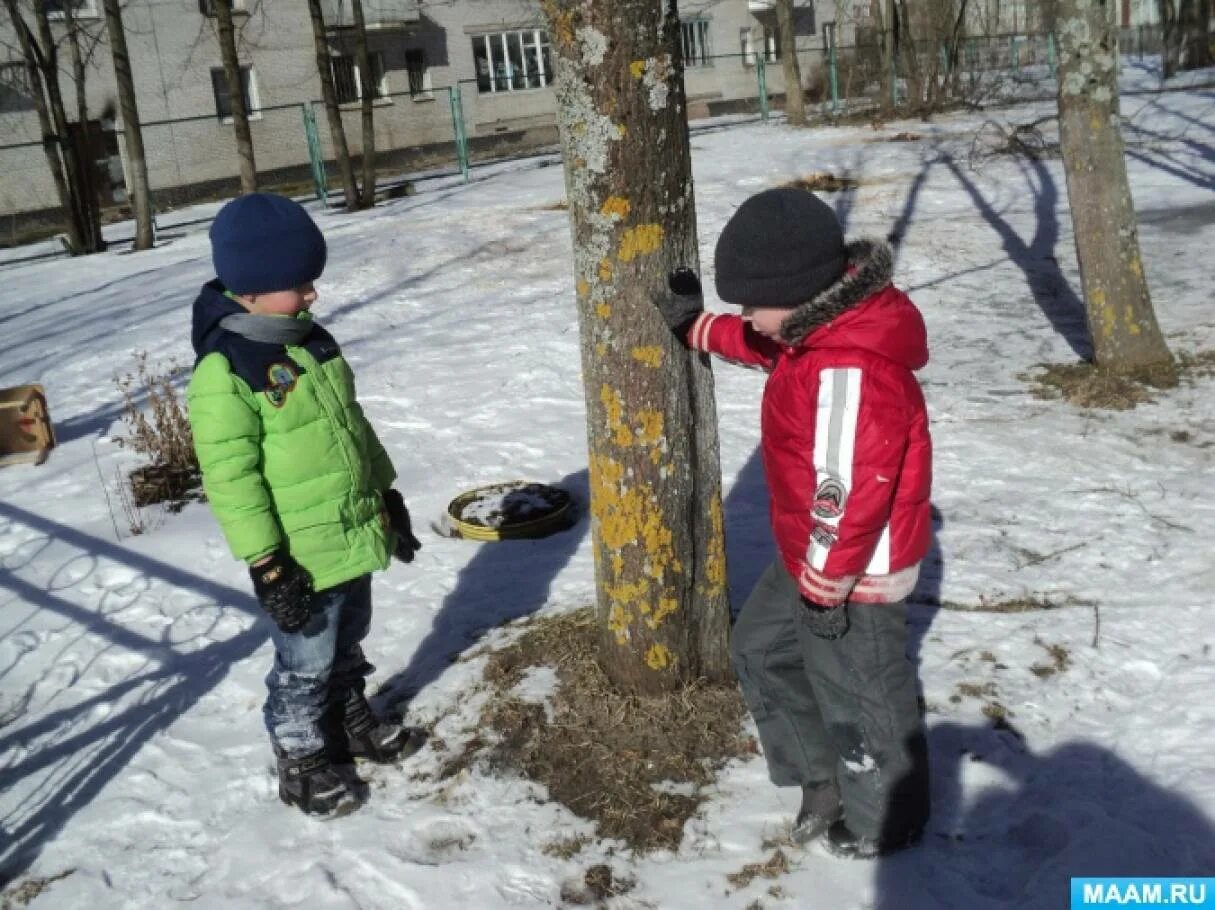 Прогулка ноябрь 3 4 года. Прогулка ноябрь 3 4 года