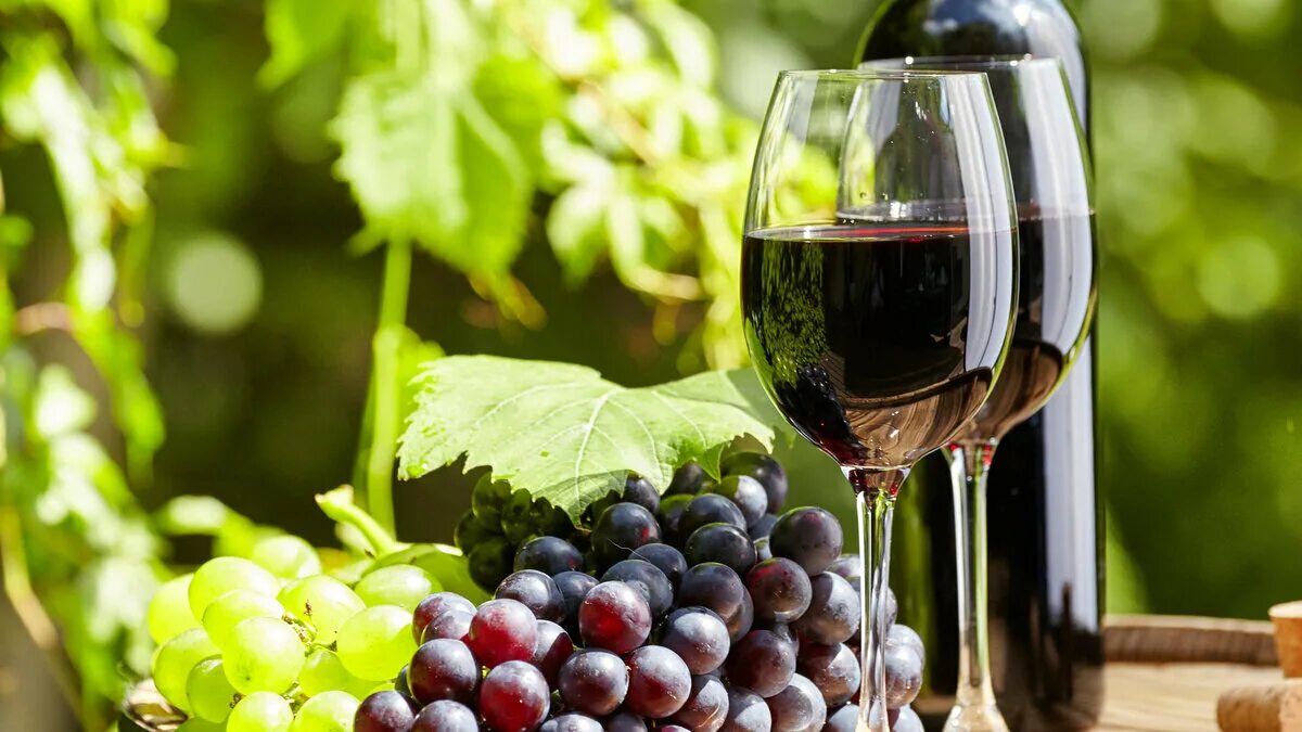 Вино красивые фото. Вино vinogradnoe. Вино и виноград. Бокал вина и виноград. Виноградная лоза вино.