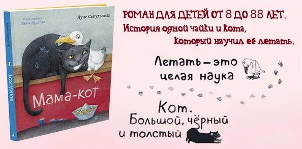 Купить маму кота. Мама кот книга. Кто написал мама кот. Мамакод Ващенко на анг.. Мама кот отрывок.