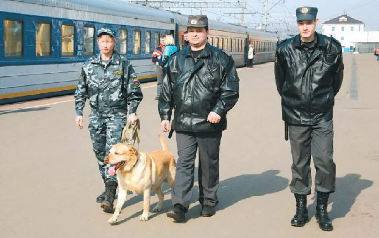 День полиции в 2025 году какого числа. Транспортная милиция россии. транспортная полиция. день транспортной милиции фото. фото с днем транспортной полиции.