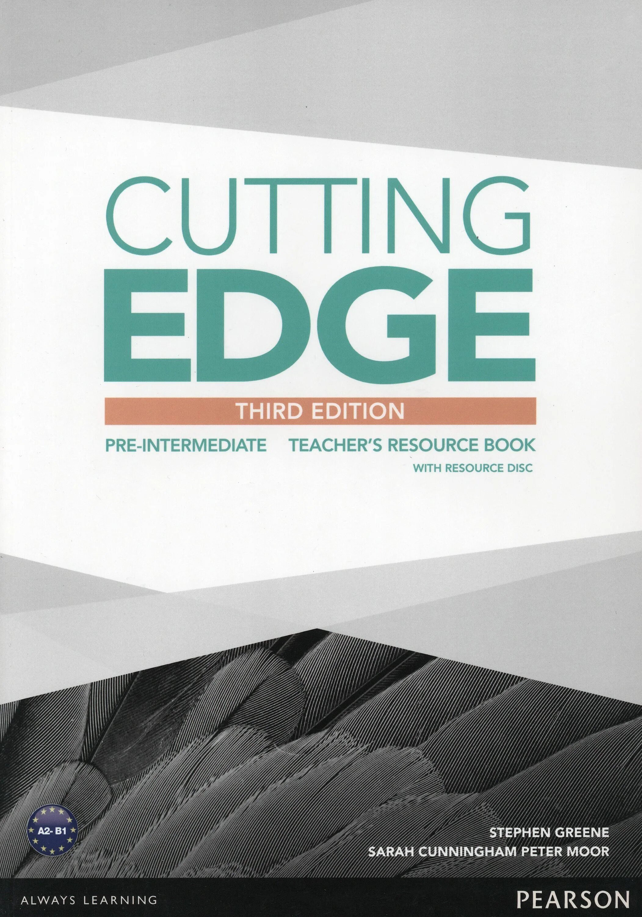 Cutting edge pre intermediate audio. Cutting edge intermediate 3rd edition. cutting edge intermediate third edition teacher&#039;s book. cutting edge pre pre-intermediate. cutting edge 3 edition.