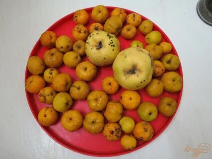 Айва фрукт рецепты приготовления