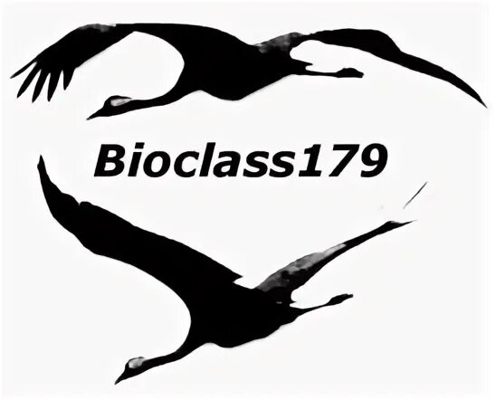 Биокласс. Биокласс. Биологический класс. Факультет биоинженерии и биоинформатики мгу. Biota лого.