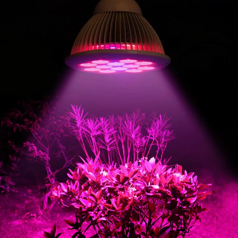 Лампа led grow Light. Фитолампа Гелиос-15. Лампы фулл спектр для растений. Фитолампа Эра-15w.