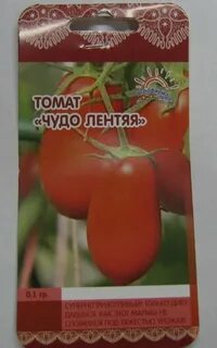 Сорт томатов чудо лентяя отзывы