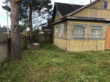Новгородская 1 чудово