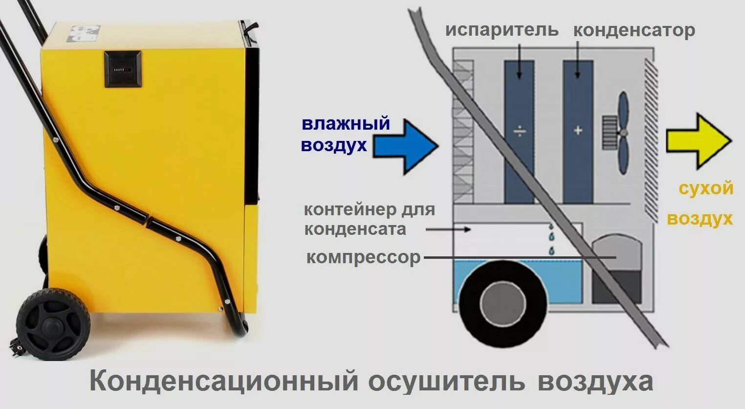 Как сделать осушитель воздуха своими руками. Осушитель воздуха адсорбционный своими руками. осушитель воздуха для подвала. самодельный осушитель воздуха для гаража. самодельный осушитель воздуха для погреба.