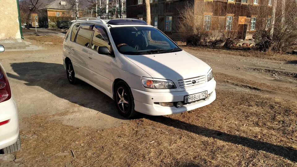 Toyota ipsum. Toyota ipsum 2015. Toyota ipsum 1998. Мухобойка Ипсум 10. Ипсум приморском крае