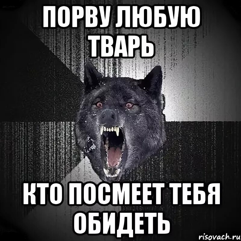 Скачай иначе я тебя удалю. За тебя порву любого. мем волк дима. порву любого за тебя волк.
