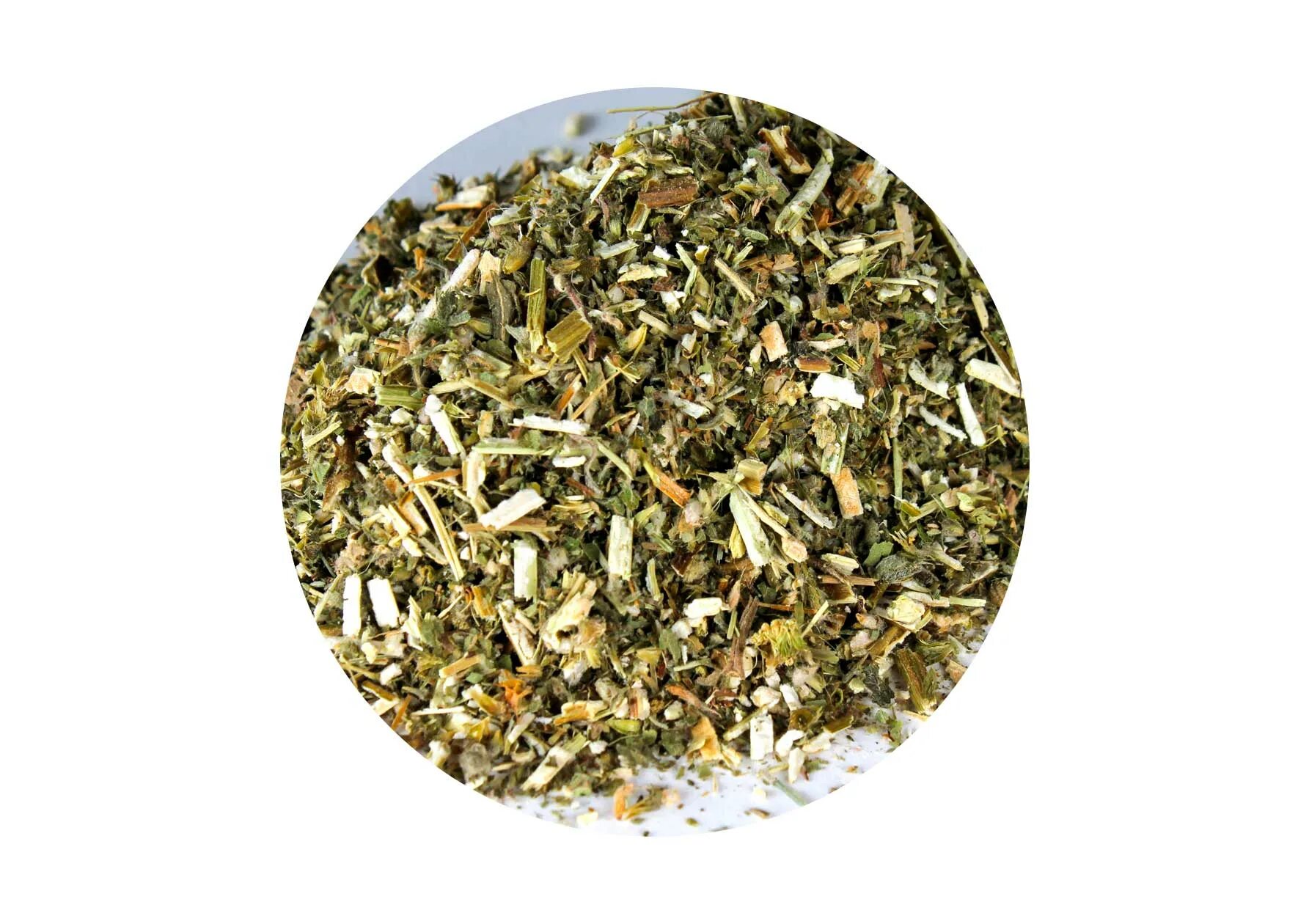 Пустырник пятилопастный сырье. Пустырник пятилопастный сырье. Пустырник лрс. Пустырник лрс. Пустырник обыкновенный.