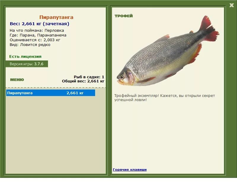 русская рыбалка 3 7 5 амазонка сорубим тигровый. тигровый сорубим. русская рыбалка 3 6 амазонка мраморный сом. амазонка трофейная рыбалка. русская рыбалка 3 7 6 амазонка.