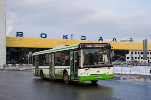 Автобус 486 спб