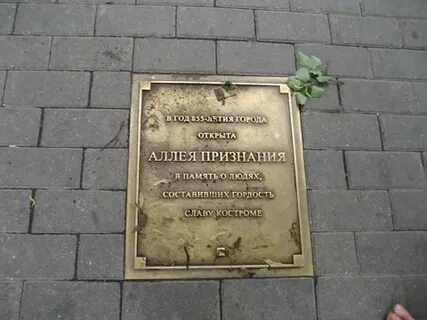 Проект признать