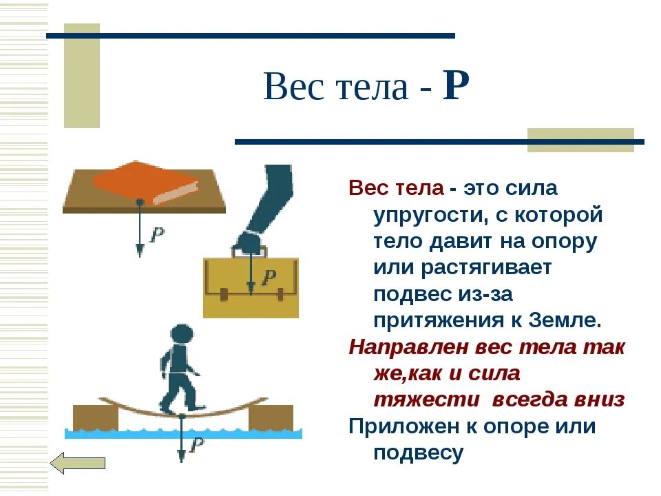 Сила сила тяжести вес тела физика 7 класс. Формула для расчета веса тела физика 7 класс. Физика 7 класс сила, сила тяжести, вес. Точка приложения сила упругости 7 класс физика.