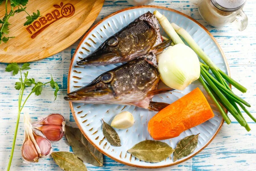 Щука обыкновенная. Хищные рыбы. Рыба пас. Длиннорогий саблезуб рыба. Экстрактор для крючков в пасти рыбы.