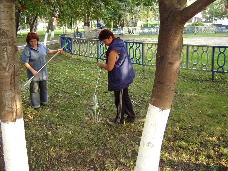 Под общественные работы. Общественные работы. оплачиваемые общественные работы. общественные работы для безработных. общественные работы от центра занятости.