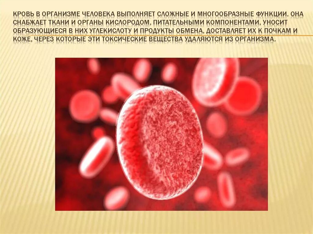 Кровь в организме выполняет функцию питательную. Кровь в человеческом организме. Кровь человека презентация.