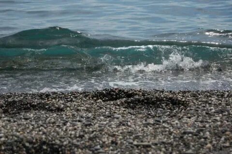 Вода в черном море алушта