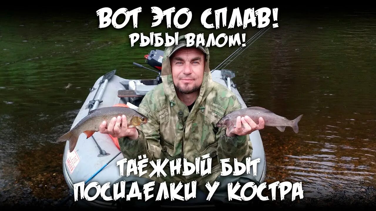 Рыбалка дикой тайге новое видео братья приходько. Рыбы тайги. братья приходько - рыбалка в дикой тайге. рыба валом. рыбная ловля в тайге.