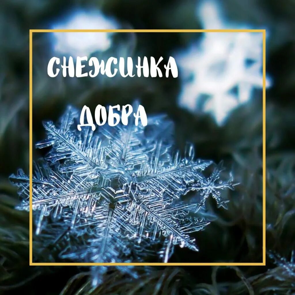 Снежинка добра акция. Снежинка добра. Снежинка смподеланиями. Волшебная снежинка. Снежинка доброты акция.