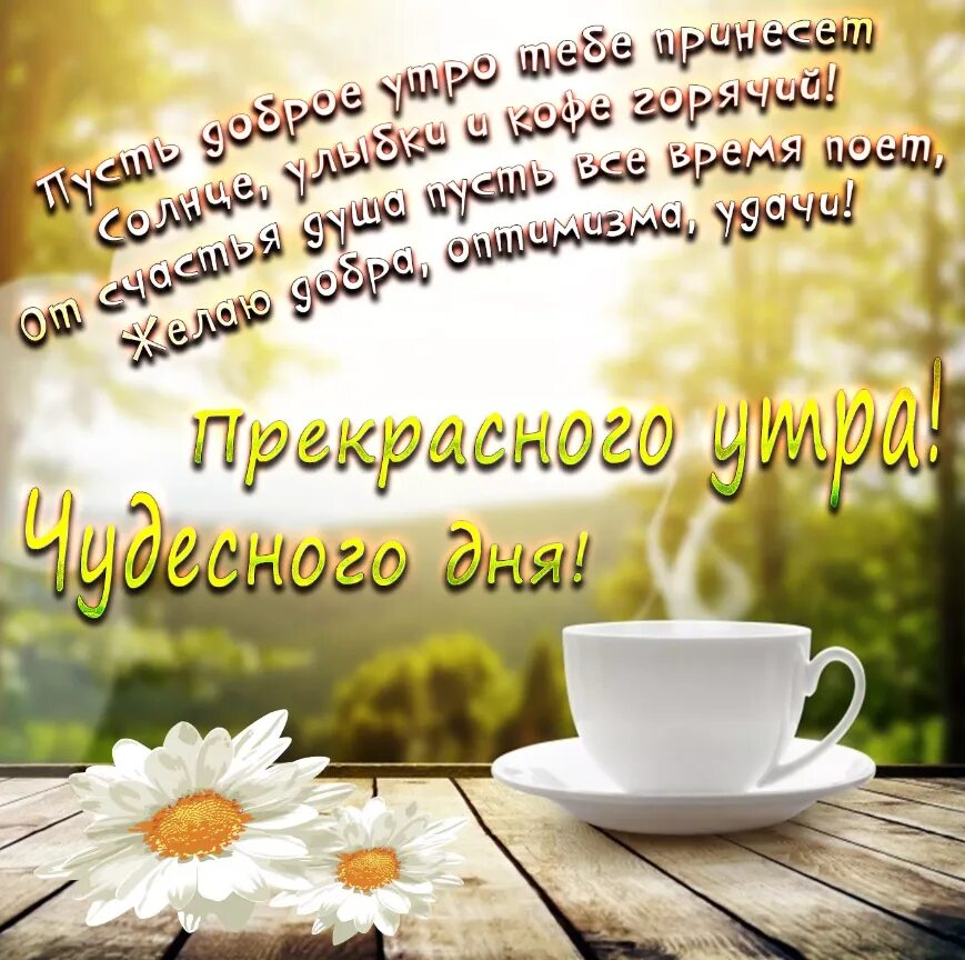 Доброе утро пожелания красивые. Открытки с добрым утром с пожеланиями. Поздравления с добрым утром и днем. Открытки с добрым утром мужчине.