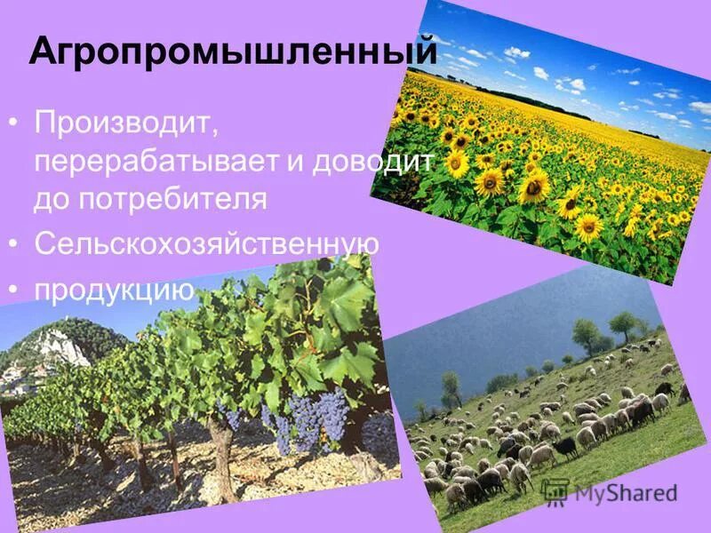 Пропорции в сельском хозяйстве. Почему каждому потребителю сельскохозяйственных. Структура агроценоза. Сельскохозяйственный спрос на землю. Почему каждому потребителю сельскохозяйственных.