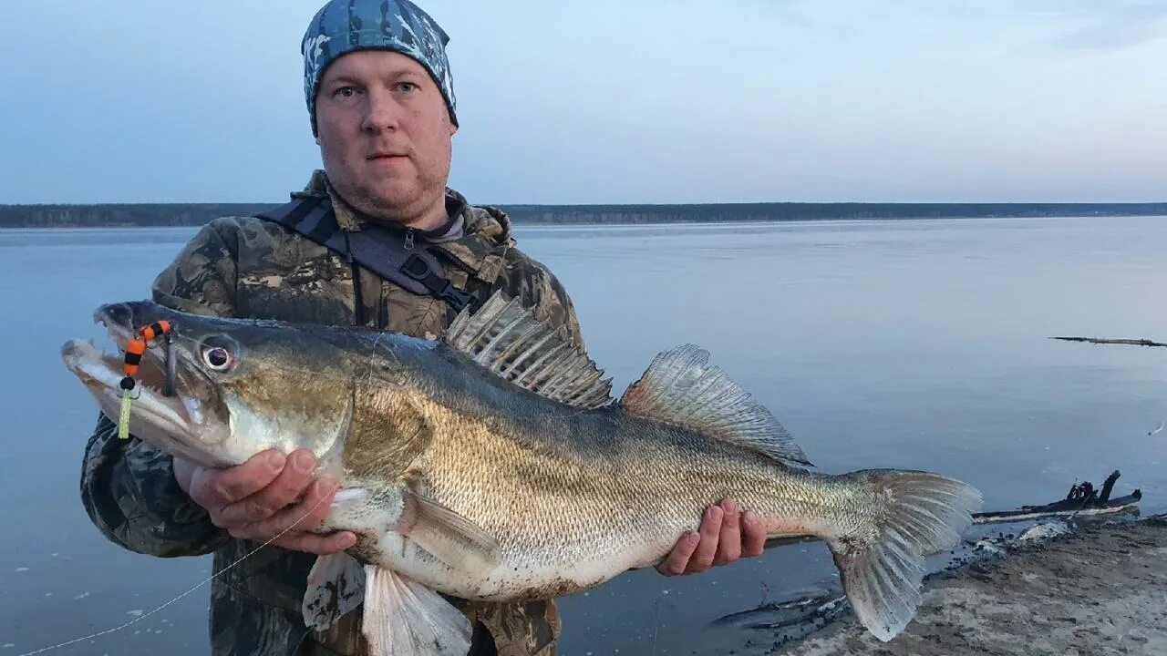 Рыбалка на обском водохранилище. Какая рыба в обском водохранилище. Спиннинги на обского сазана. Рыбы обского водохранилища. Рыболовство в новосибирске.
