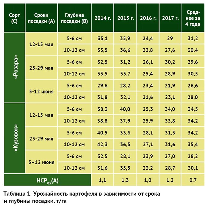 Температура почвы для посадки картофеля. Таблица посадки картофеля. Глубина посадки картофеля. Температура для посадки картофеля.