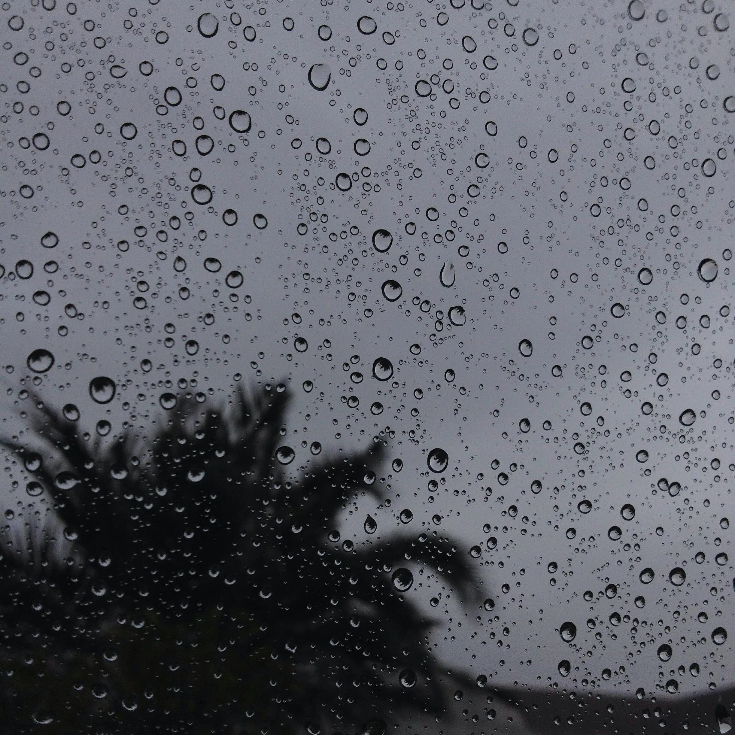 Черный дождь 1. Дождь чб. Темный дождь. Черно белый дождь. Серый цвет дождь.