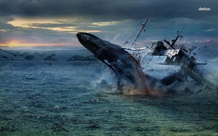 Whale & Ship Maritime Bathroom Canvas Wall Art Picture Print Home Decor eBay
