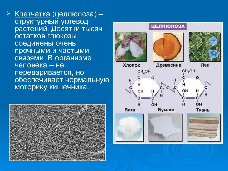 Целлюлоза какое строение. Целлюлоза. целлюлоза органическое соединение. целлюлоза клетчатка. целлюлоза в организме человека.