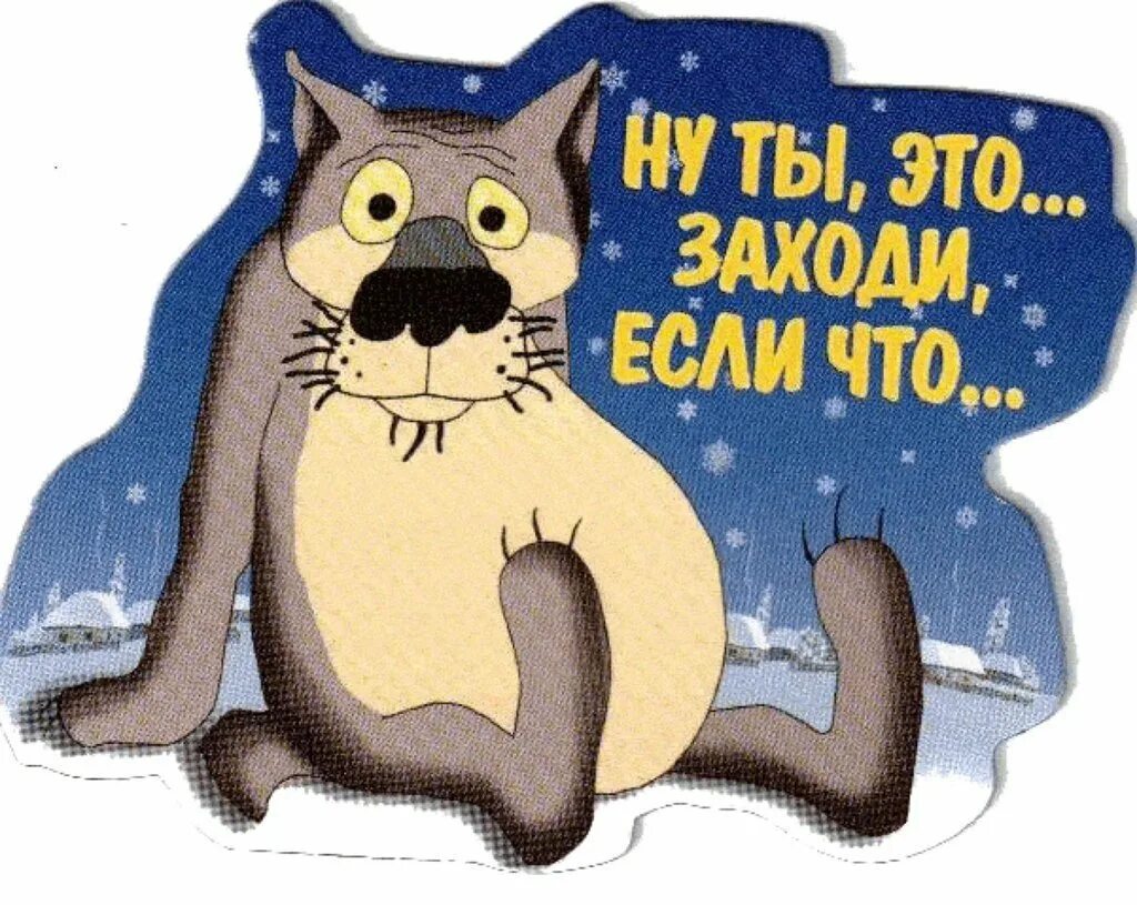 Поздравления жил был. Ты заходи если что. Ну ты это заходи если что. Волк заходи если че. Ты заходи если что картинки.