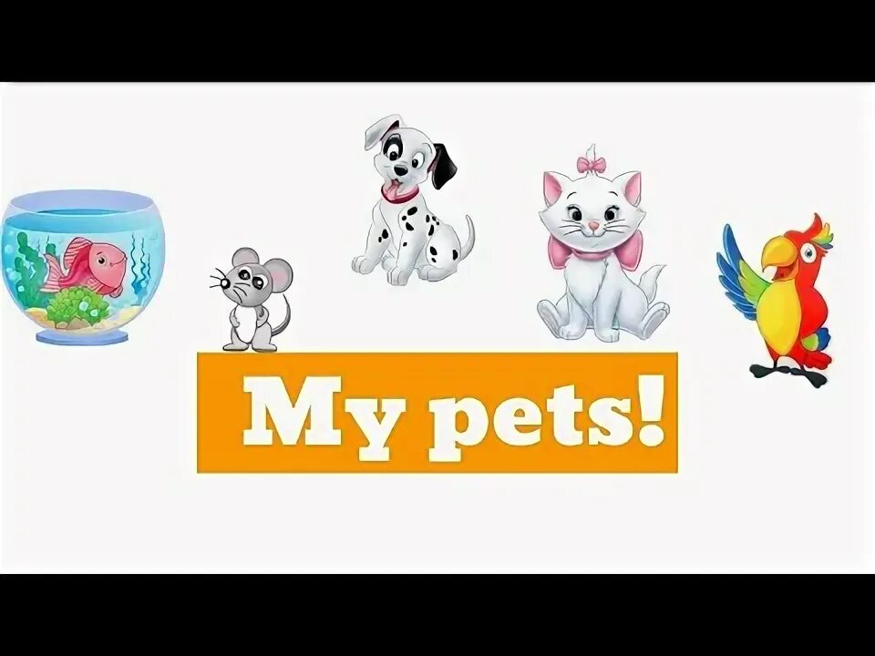 Песни петс. Kid's Box 1 Pets. Kid's Box 1 my Pets. Kids Box 1 our Pets. My Pet Song.