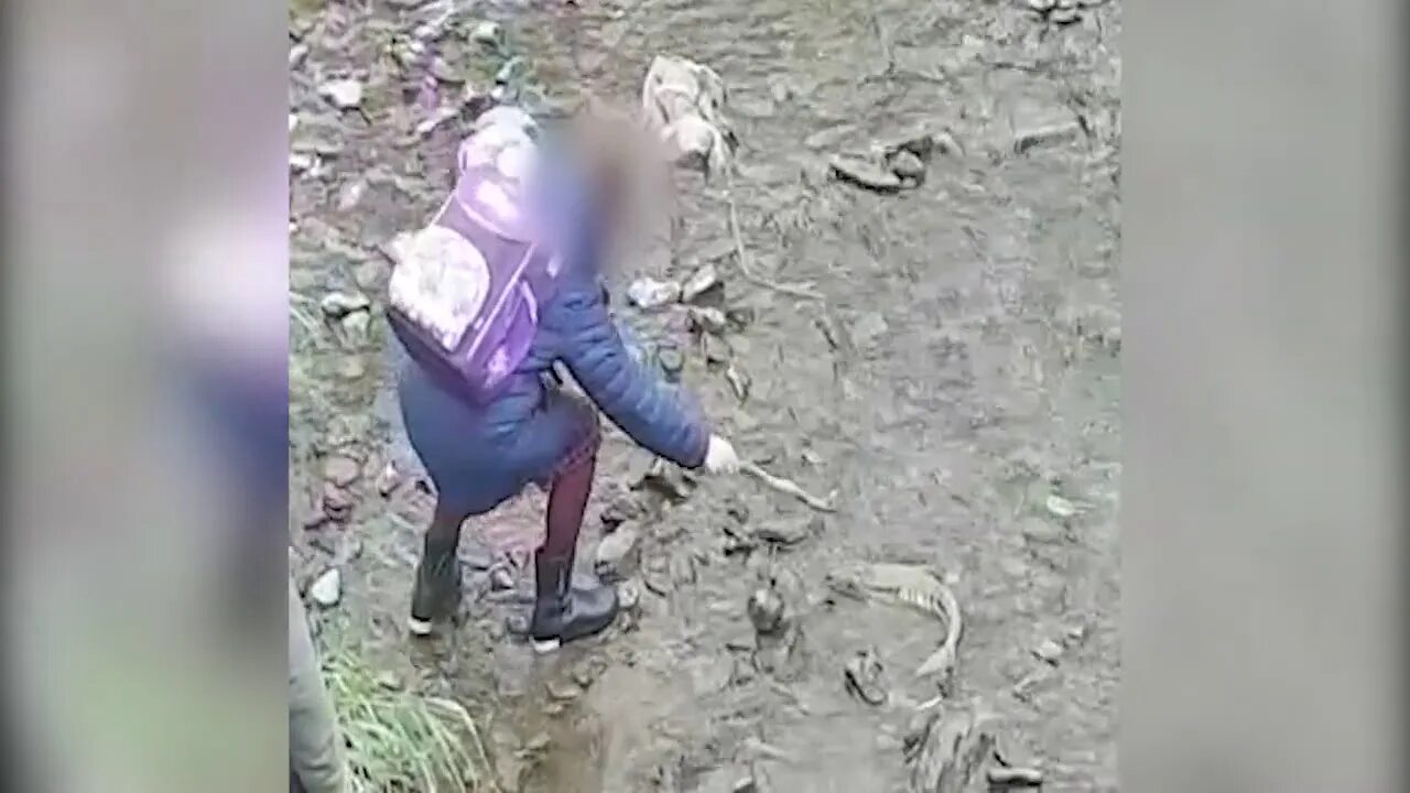 Аств сахалин видео. Аств оперативные новости сахалина. аств новости сахалина последние новости видео.