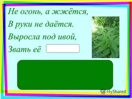 Жгись