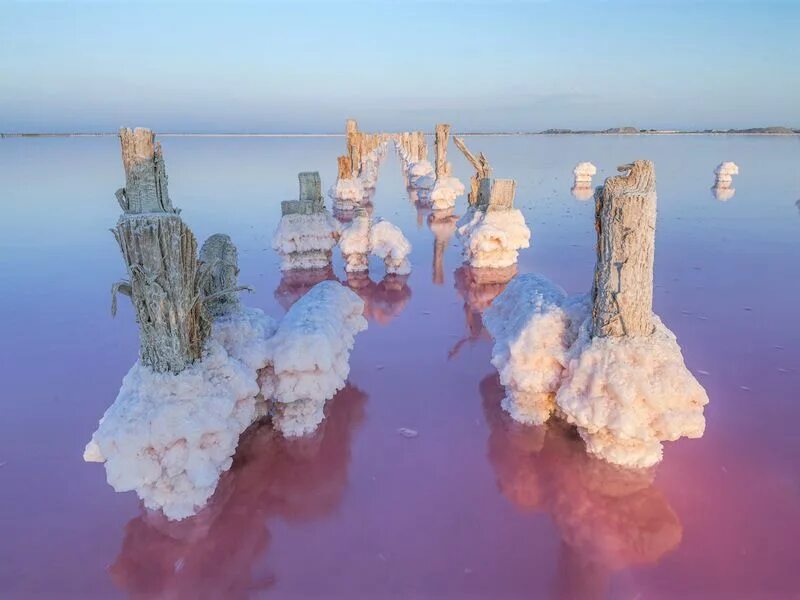 Соляной промысел. Сасык Сиваш залив. Розовое озеро в Крыму. Розовое озеро в Крыму 2023. Розовое озеро в Крыму 2022.