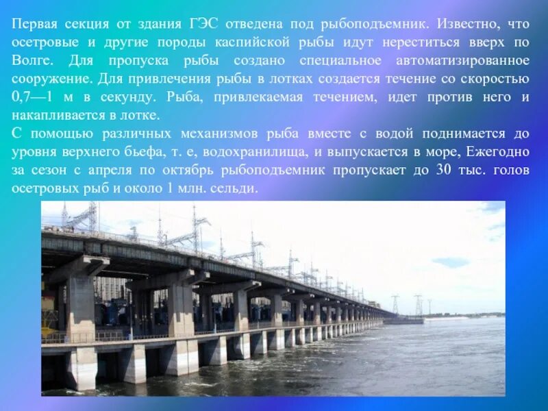 Волжский класс 3 класс. ГЭС Волжского Волгоградской области. Протяженность Волжской ГЭС. Сообщение о Волжском ГЭС. Проект Волжская ГЭС.