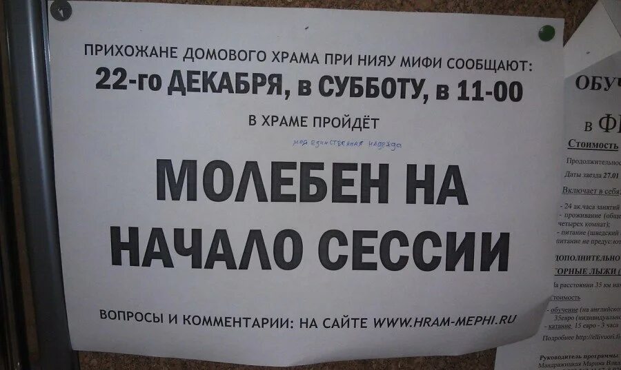 сессия цитаты смешные. приколы про студентов заочников. студенческие шутки про сессию. статусы про сессию. смешные высказывания о студентах.