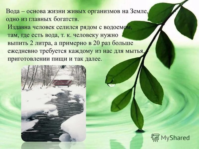 Почему воду мы считаем источником жизни. Вода основа жизни. Вода основа жизни на земле. Вода главное богатство на земле. Основа жизни на земле.