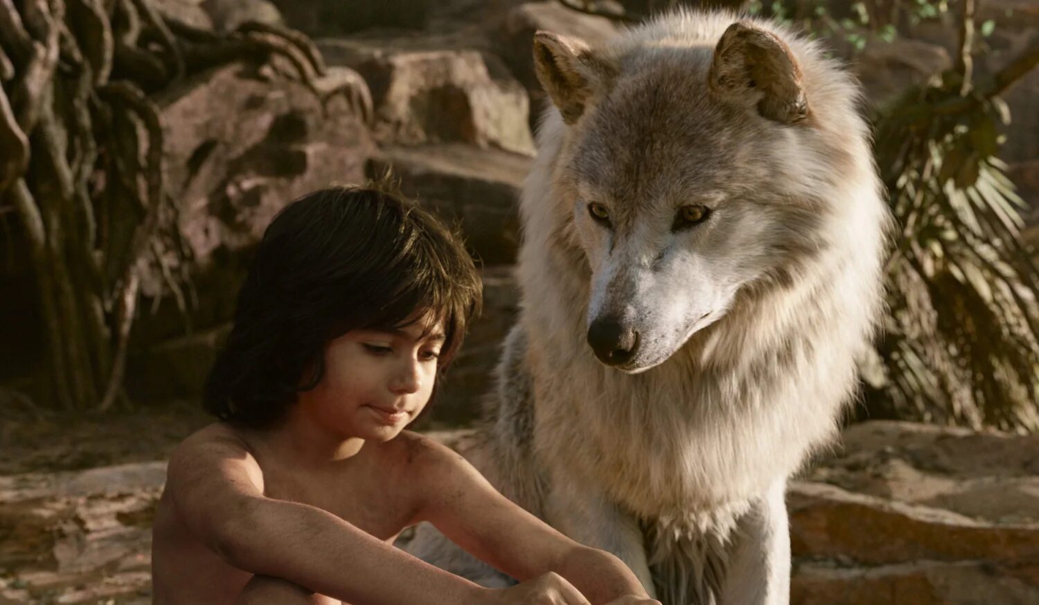 воспитанные волками похожие. волк сериал лиля. фотосессия с волком. прирученный волк. девушка и волки фильм.