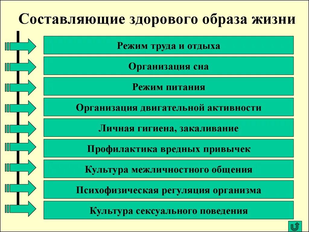 Составляющие зож