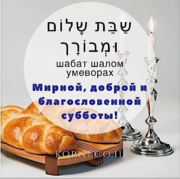 Шаббат шалом смешные картинки. Шалом перевод на русский. Алейхем иврит. Шолом перевод на русский. Шутки про шабат.