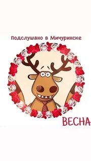Подслушано мичуринск