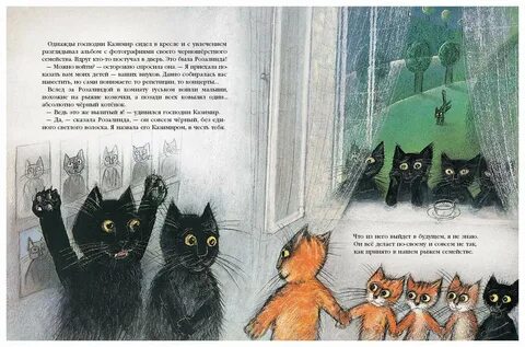 Истории коте