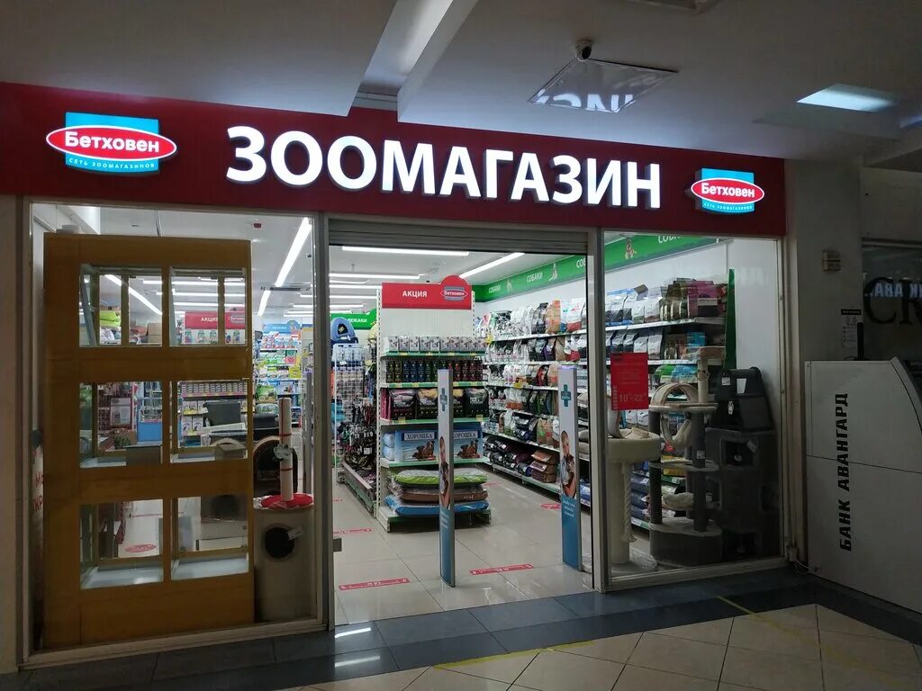 Бетховен интернет магазин москва