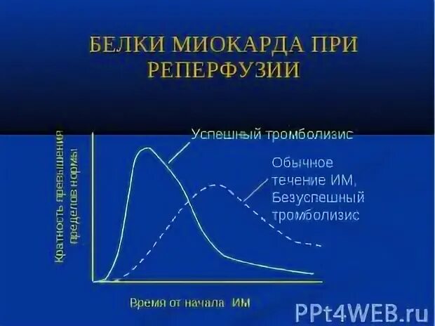 Тропонин при инфаркте миокарда. Двигательные белки примеры. Актиновые и миозиновые сократительные белки. Белок миокарда. Белки мышц и соединительных тканей.